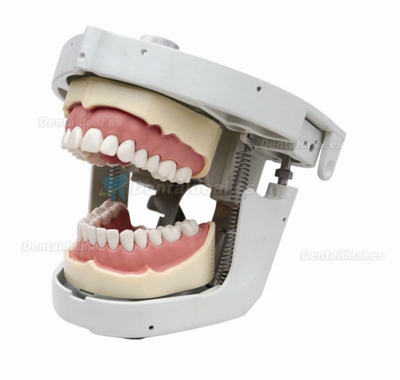 Jingle JG-C4 Dental Surgery Practice Model Head Attach on Dental Chair Type Simulation Phantom Head